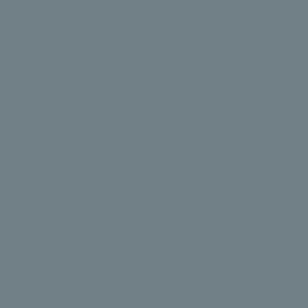 AF-555 Montpelier - Paint Color | Northeastern / Wolverine Paint